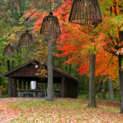 Image position 2 produit parent