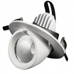 Projecteur LED rond encastrable orientable 360°- 30W - SNAKE