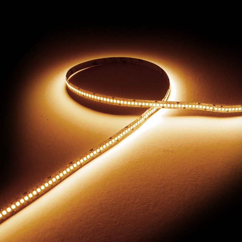 Ruban LED IP20 2835 haute fidélité - Blanc - 19,2W/m - 240 LED/m - 5m