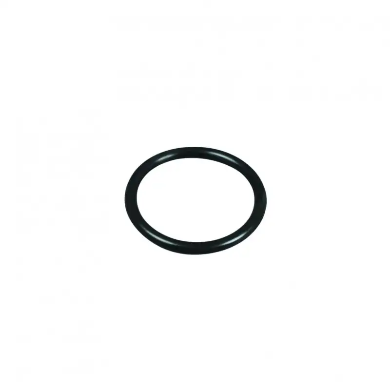 Joint d'étanchéité pour projecteur de piscine PAR56