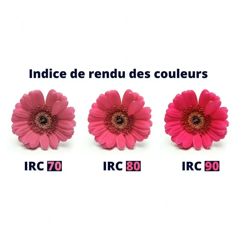 Ruban LED haute fidélité - 19,2W/m - IP20 - Blanc - 240 LED/m - 2835+ - 24V