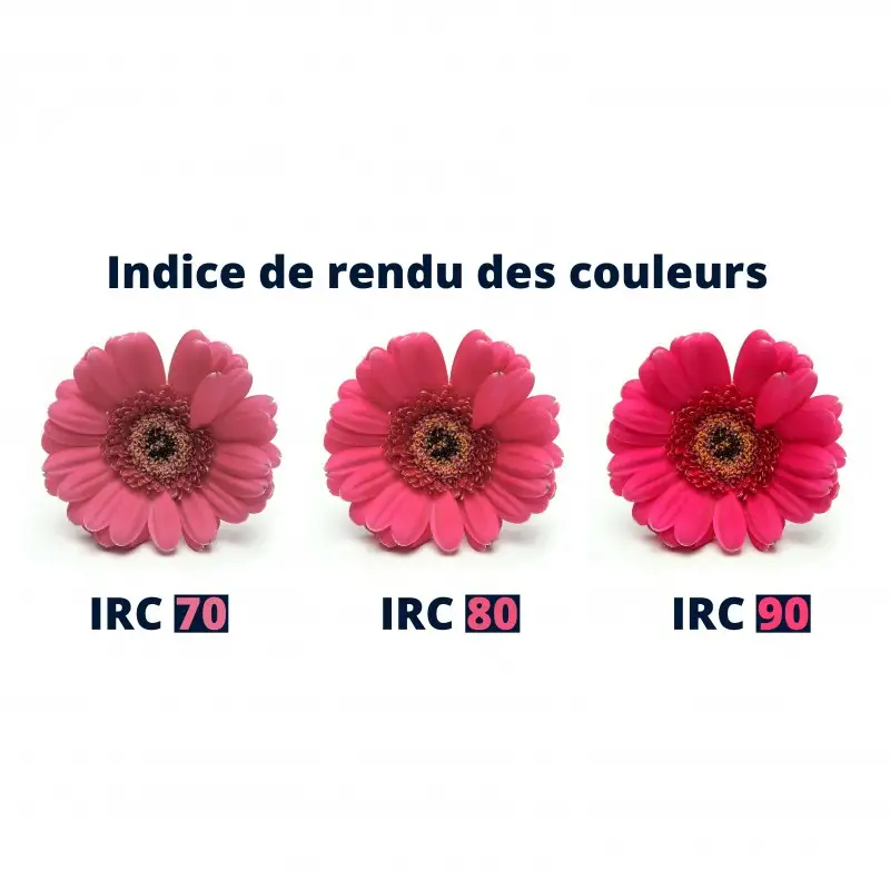 Ruban LED COB étroit 5mm (105 lm/W) - 7W/m - IP20 - Blanc - 384 LED/m - à la coupe - 24V