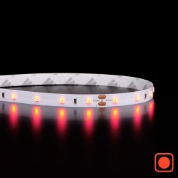 Ruban IP20 2835+ - Rouge - 4,8W/m - 60 LED/m - 5m