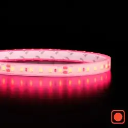 Ruban IP20 2835+ - Rouge - 9,6W/m - 120 LED/m - 5m