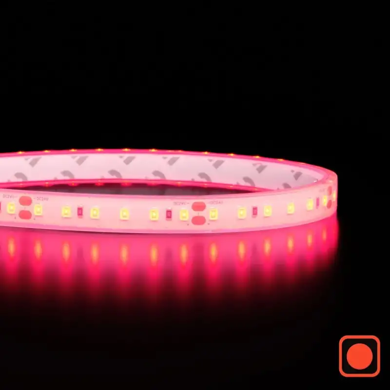 Ruban IP20 2835+ - Rouge - 9,6W/m - 120 LED/m - 5m