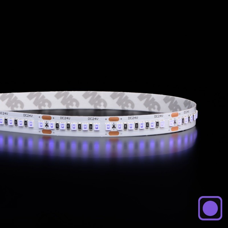 Ruban LED UV 14,4W/m - 180 LED/m - IP20 - 2835+ - 5m -24V