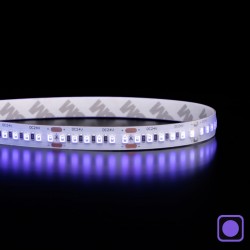 Ruban LED UV 14,4W/m - 180 LED/m - IP65- 2835+ - 5m -24V
