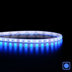 Ruban LED étroit haute fidélité IP65 - 4,8W/m - 120 LED/m - 2835E - 5m - 24V - Bleu