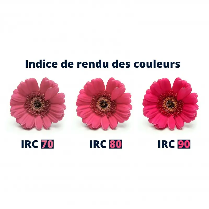 Ruban LED COB étroit 5mm (105 lm/W) - 7W/m - IP65G - Blanc - 384 LED/m - à la coupe - 24V