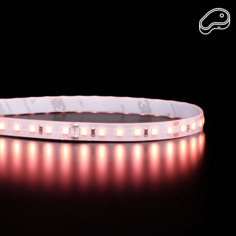 Bandeau LED économique adapté pour les magasins et rayons de type boucheries et charcuteries