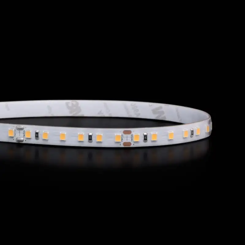 Bandeau LED économique adapté pour les magasins et rayons de type produits de la mer