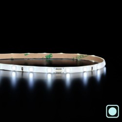 Mini ruban IP65 3528E - Blanc - 4,8W/m - 60 LED/m - 5m