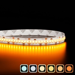 Ruban LED IP20 2835 haute fidélité - Blanc - 19,2W/m - 240 LED/m - 5m