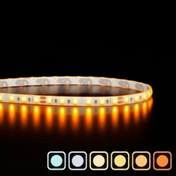 Ruban LED étroit haute fidélité IP65 - 4,8W/m - 120 LED/m - 2835E - 5m - 24V - Blanc