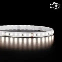 Bandeau LED économique adapté pour les magasins et rayons de type produits de la mer