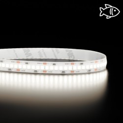 Bandeau LED économique adapté pour les magasins et rayons de type poissonnerie