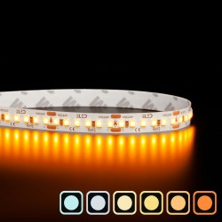 Ruban LED vendu au mètre - 14,4W/m - IP20 - Blanc - 180 LED/m - 24V