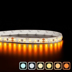 Ruban IP20 2835+- Blanc – 9,6W/m – 120 LED/m - vendu au mètre (rouleau 50 m)