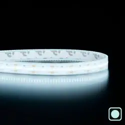 Ruban LED Haute densité (120 lm/w) - 13W/m - IP68 - Blanc - 420 LED/m - 2216+ - à la coupe - 24V