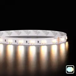 Ruban LED blanc chaud + froid (CCT) - 14,4W/m - IP65 - 120 LED/m - 2835+ - à la coupe - 24V