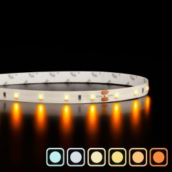 Ruban LED a la coupe  - 4.8W - IP20 - 60LED/m - 24V