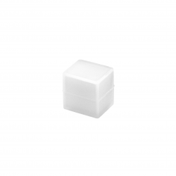 Embout pour ruban néon flex D1616 non  troué- direct