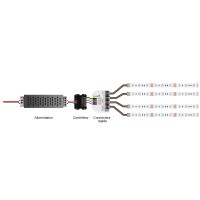 Connecteur rapide à levier pour installation RGB - 1 entrée / 4 sorties