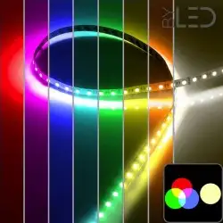 Ruban IP65 5050 - RGB + Blanc chaud - 19,2W/m