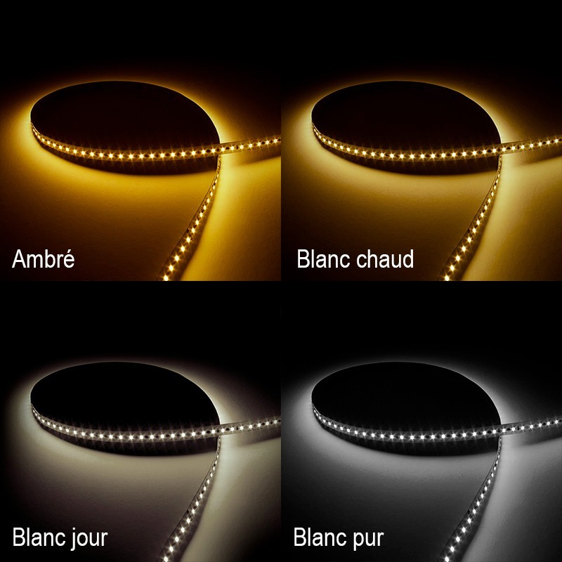 Bandeau LED 20m pour l'intérieur IP20.  Garantie 5 ans.