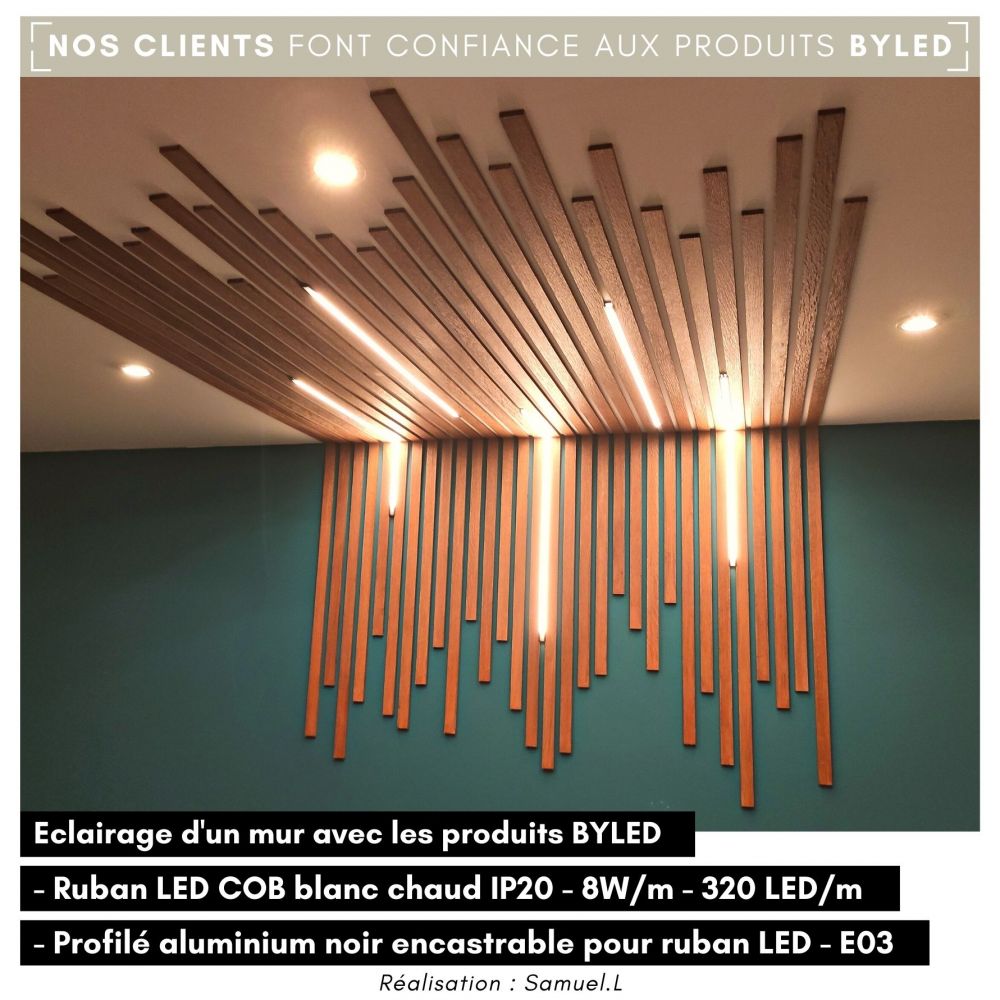 Ruban LED COB Haute luminosité (125lm/W) - 8W/m - IP20 - Blanc - 320LED/m - 5m - 24V - Vue supplémentaire