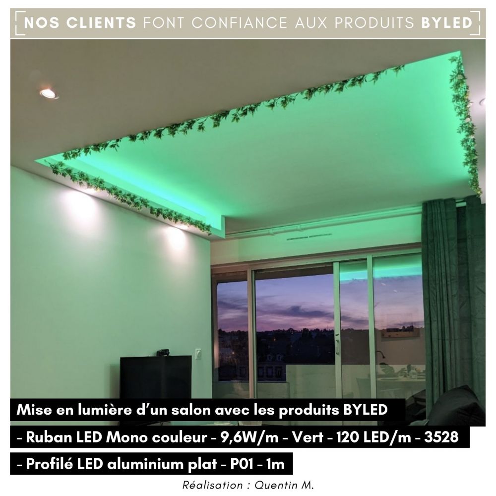 Profilé LED aluminium plat - P01 - CRAFT - Vue supplémentaire